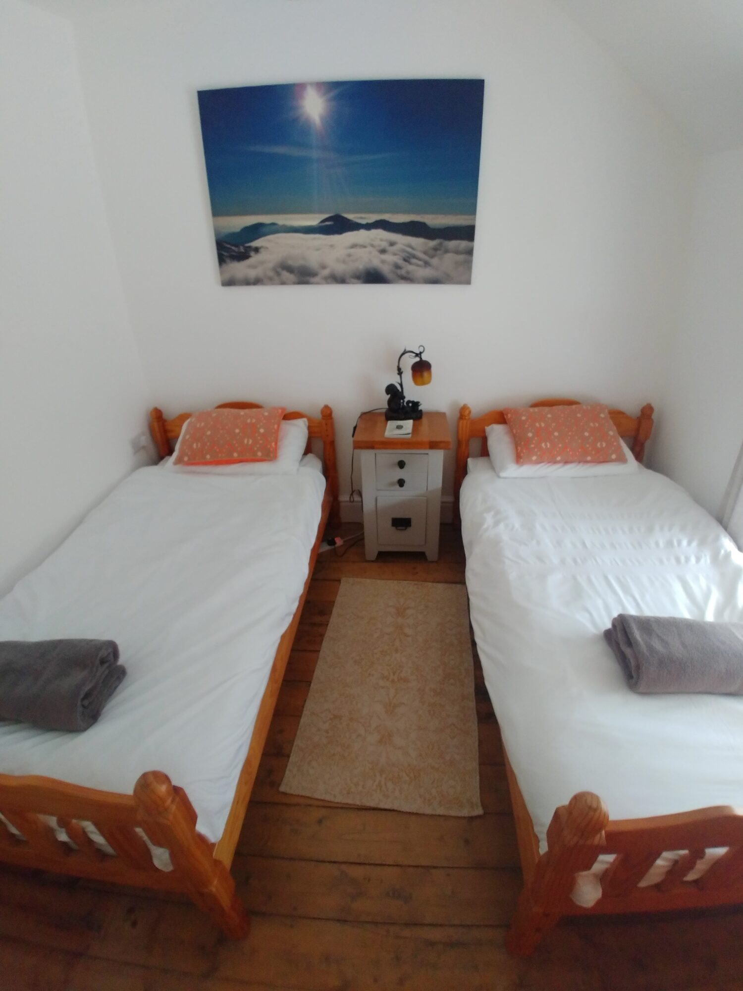 Twin bedroom with pine beds in Snowdonia